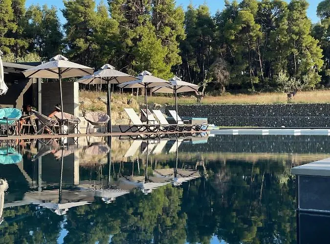 Sani Sani (Chalkidiki)